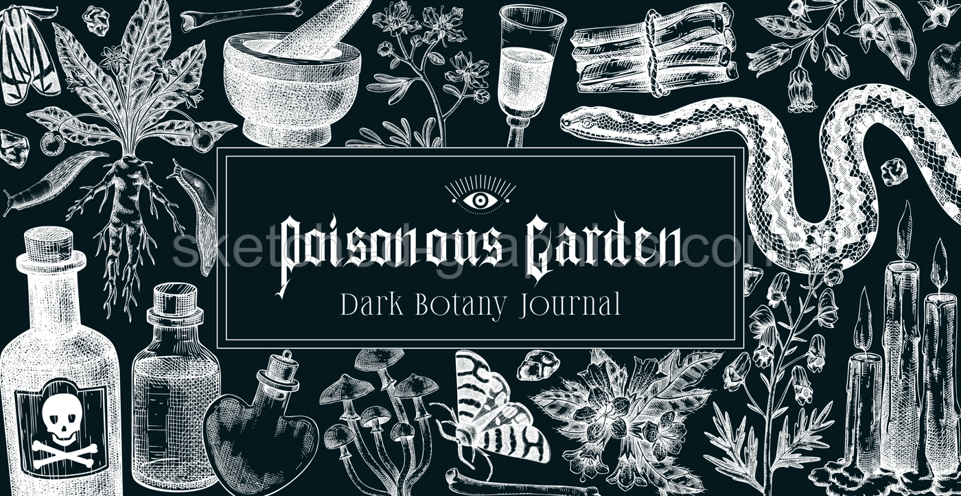 Witchcraft background. Halloween frame design. Bohemian hand drawn vector illustration on chalkboard. Witch herbs, poisonous plants, magic ingredients sketches. NOT AI generated Illustration